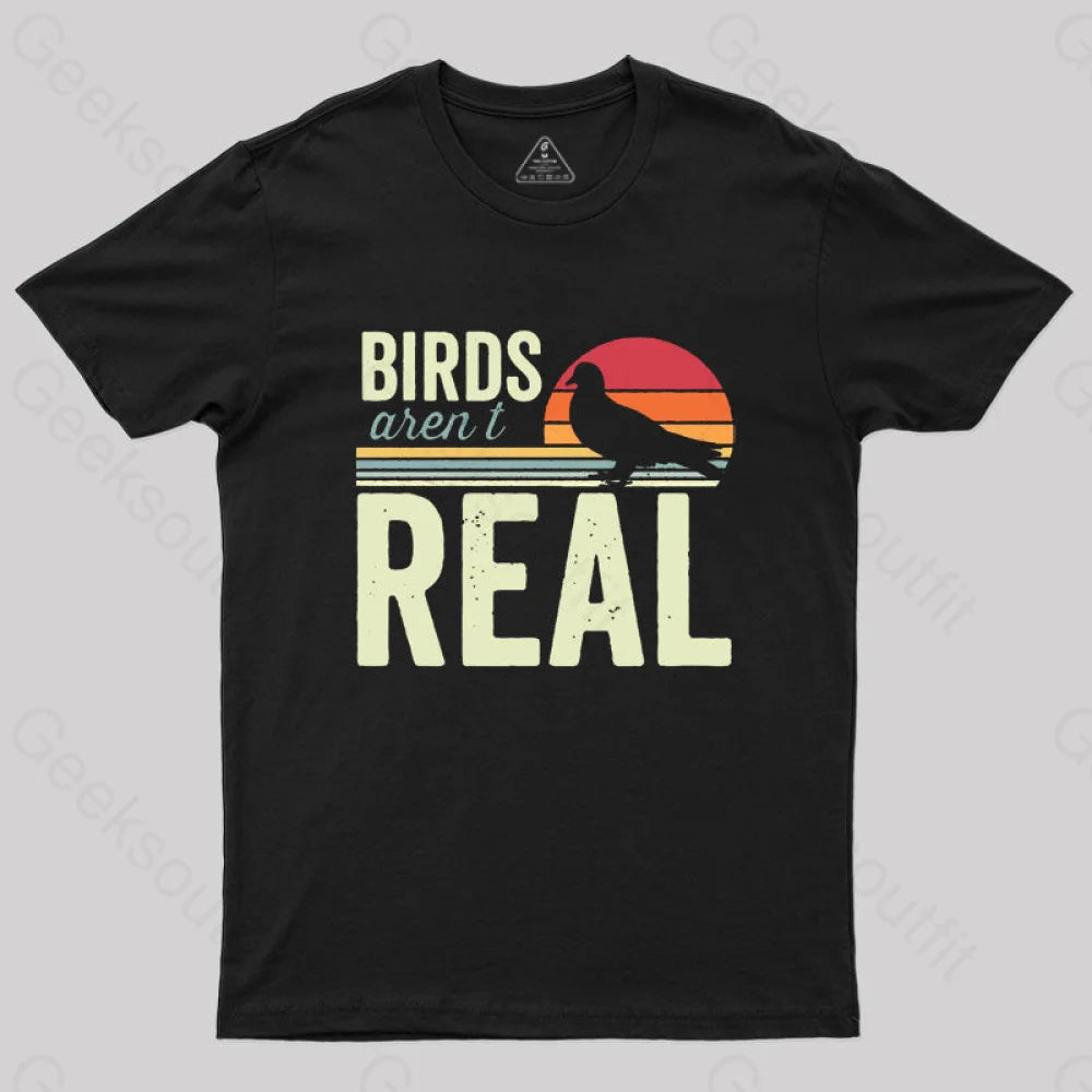 High Street Design Birds Aren't Real Funny Saying Vintage Sunset T-Shirt