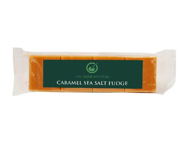 Energy Plan Caramel Sea Salt Fudge Bar