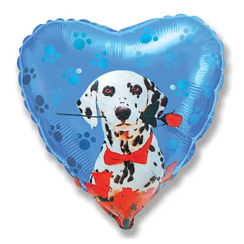 Sports Fitness Wear 18 inch DALMATIAN