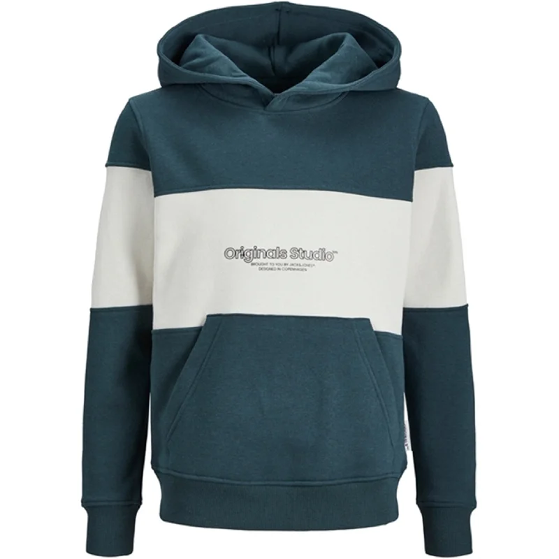 Modernism Jack & Jones Junior Magical Forest Lakewood Colorblock Sweat Hoodie